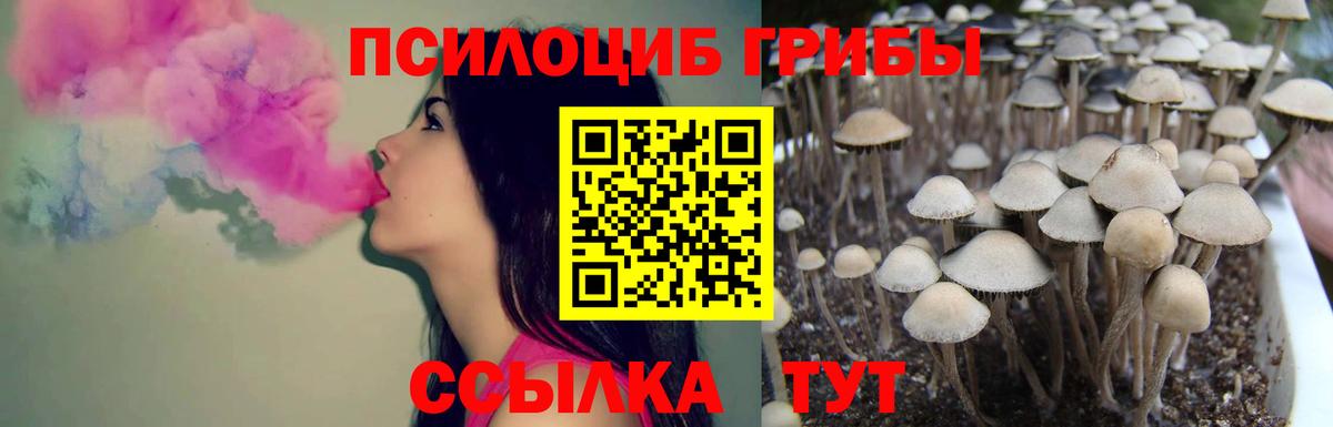 Псилоцибиновые грибы мицелий  Вход с VPN  купить закладку  Мценск 